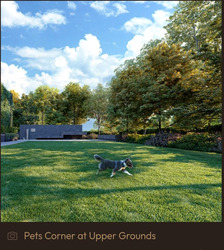 Amber House (D15), Apartment #463991371